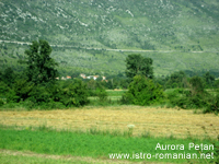 View of the Učka Mountians and of the village of Sucodru