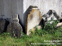 The cemetery next to the church in Brdo