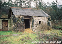 Stable in Šušnjevica